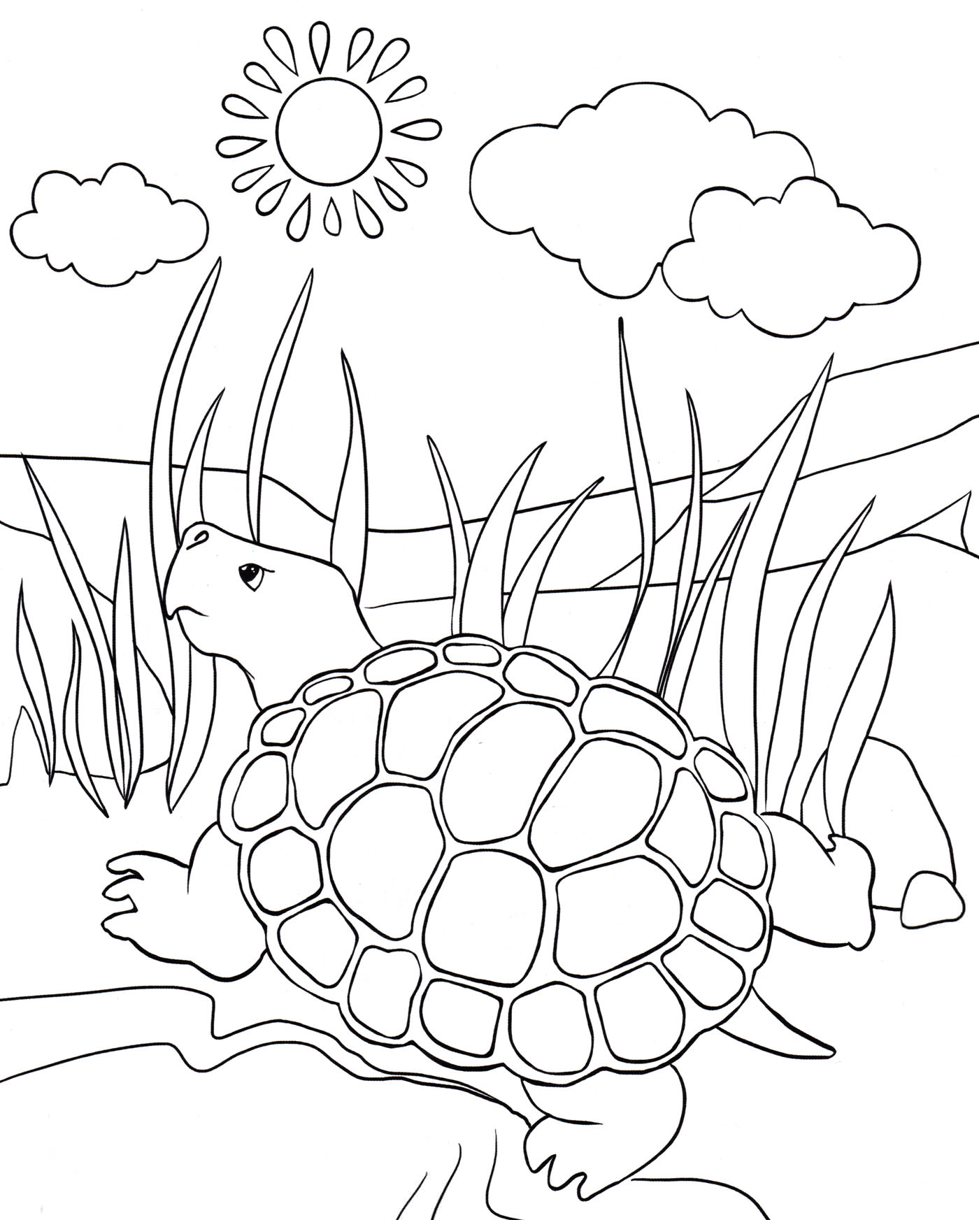 Розмальовка Черепаха гріється на сонці