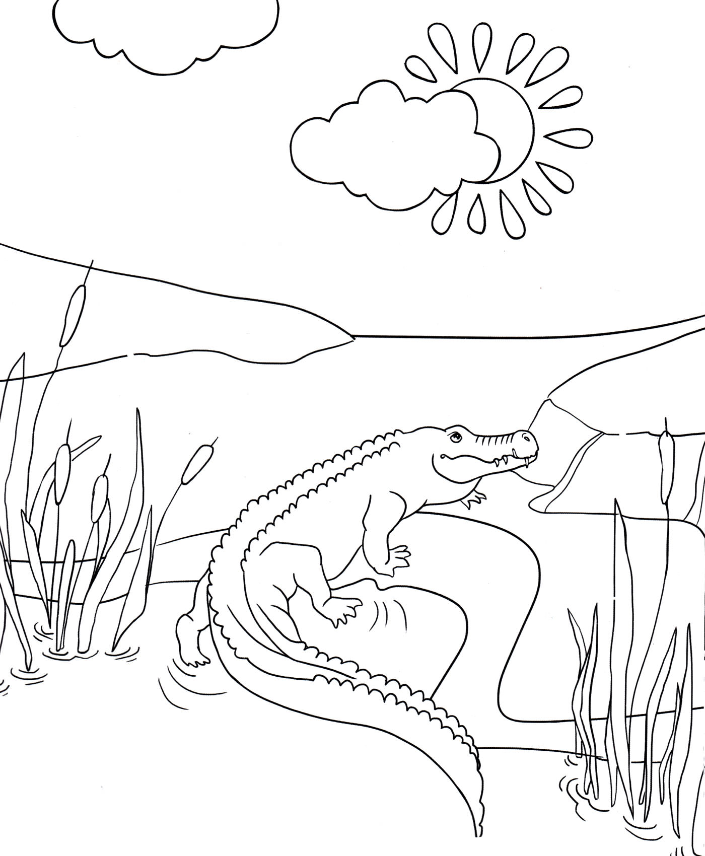 Розмальовка Крокодил виліз із води