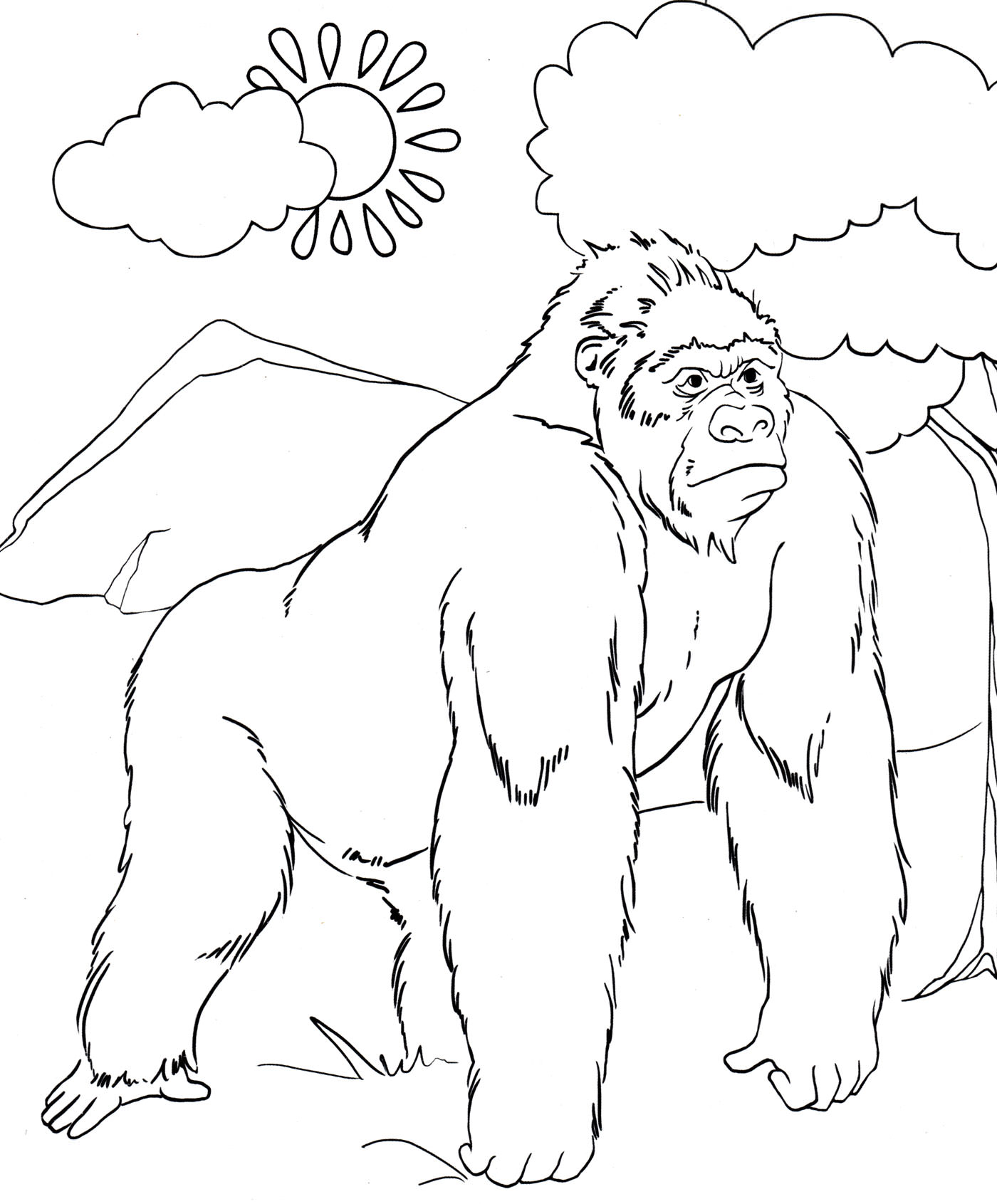 Розмальовка Велика горила