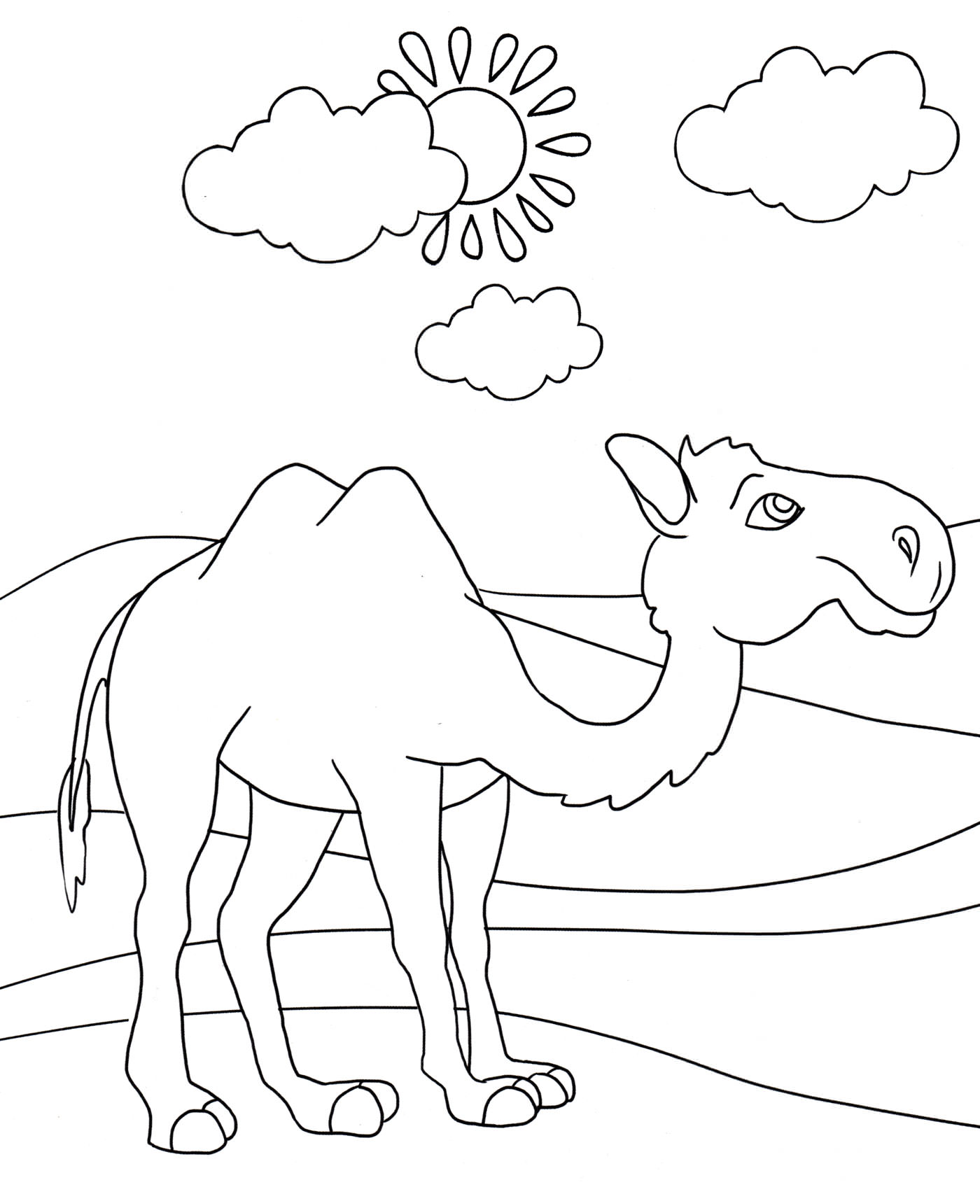 Розмальовка Верблюд у пустелі