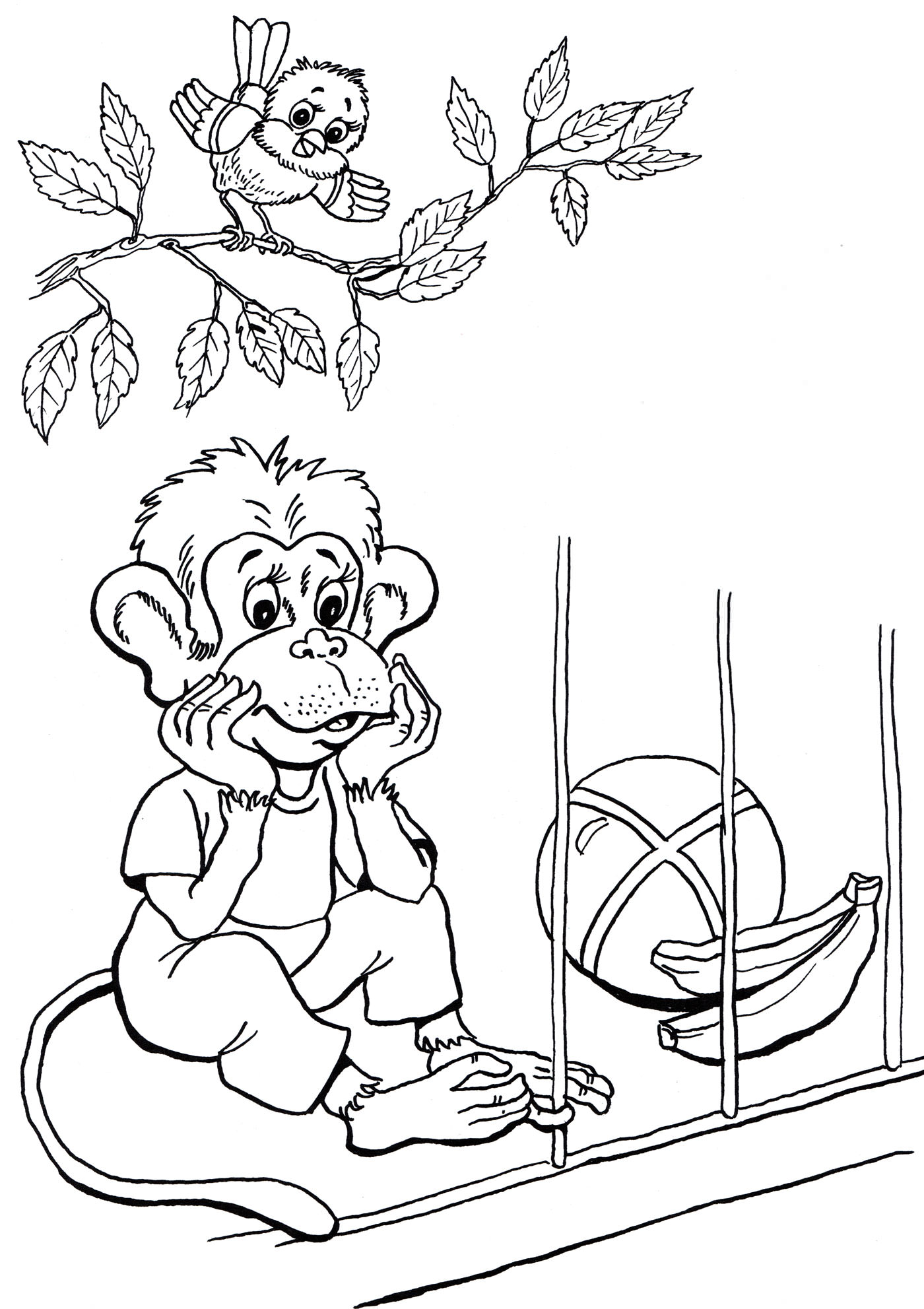 Розмальовка Мавпа в зоопарку