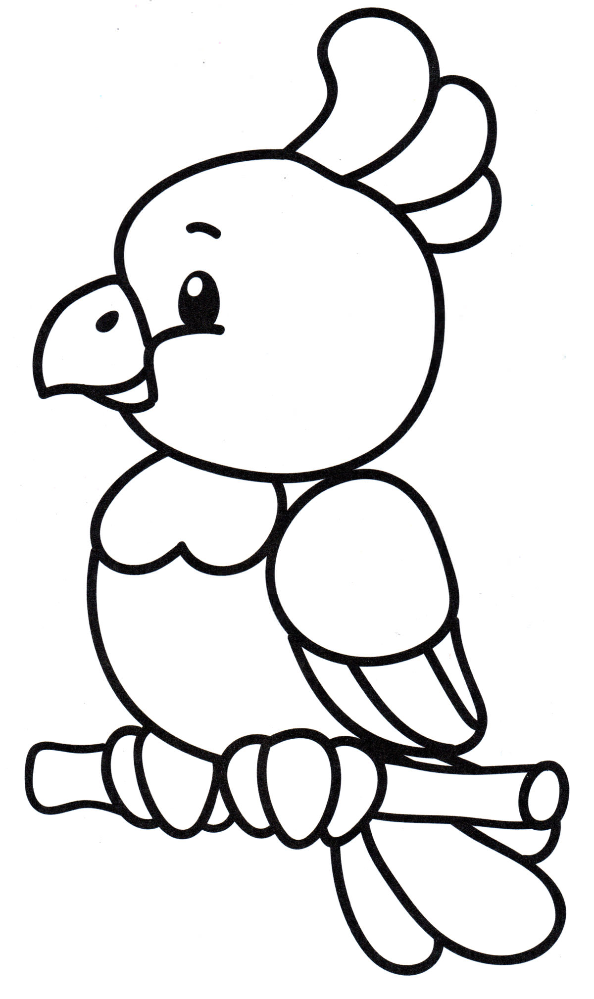 Розмальовка Маленький папужка на гілці