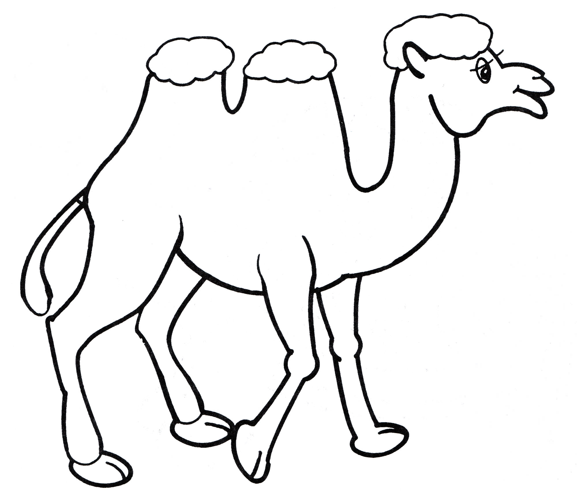 Розмальовка Верблюд на прогулянці