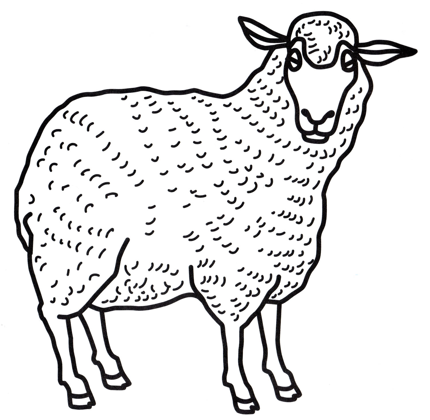 Розмальовка Вівця із густою вовною