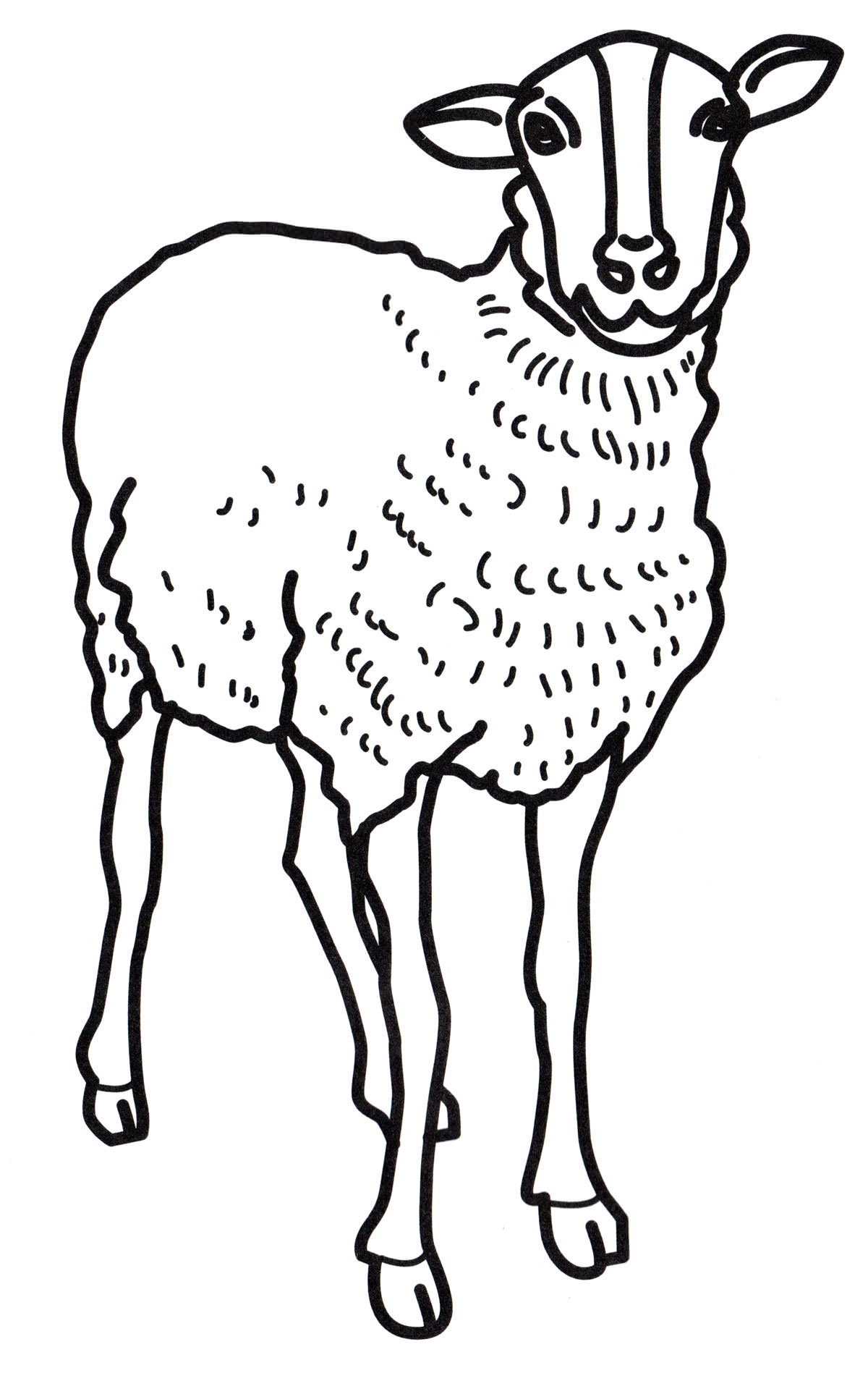 Розмальовка Маленька вівця