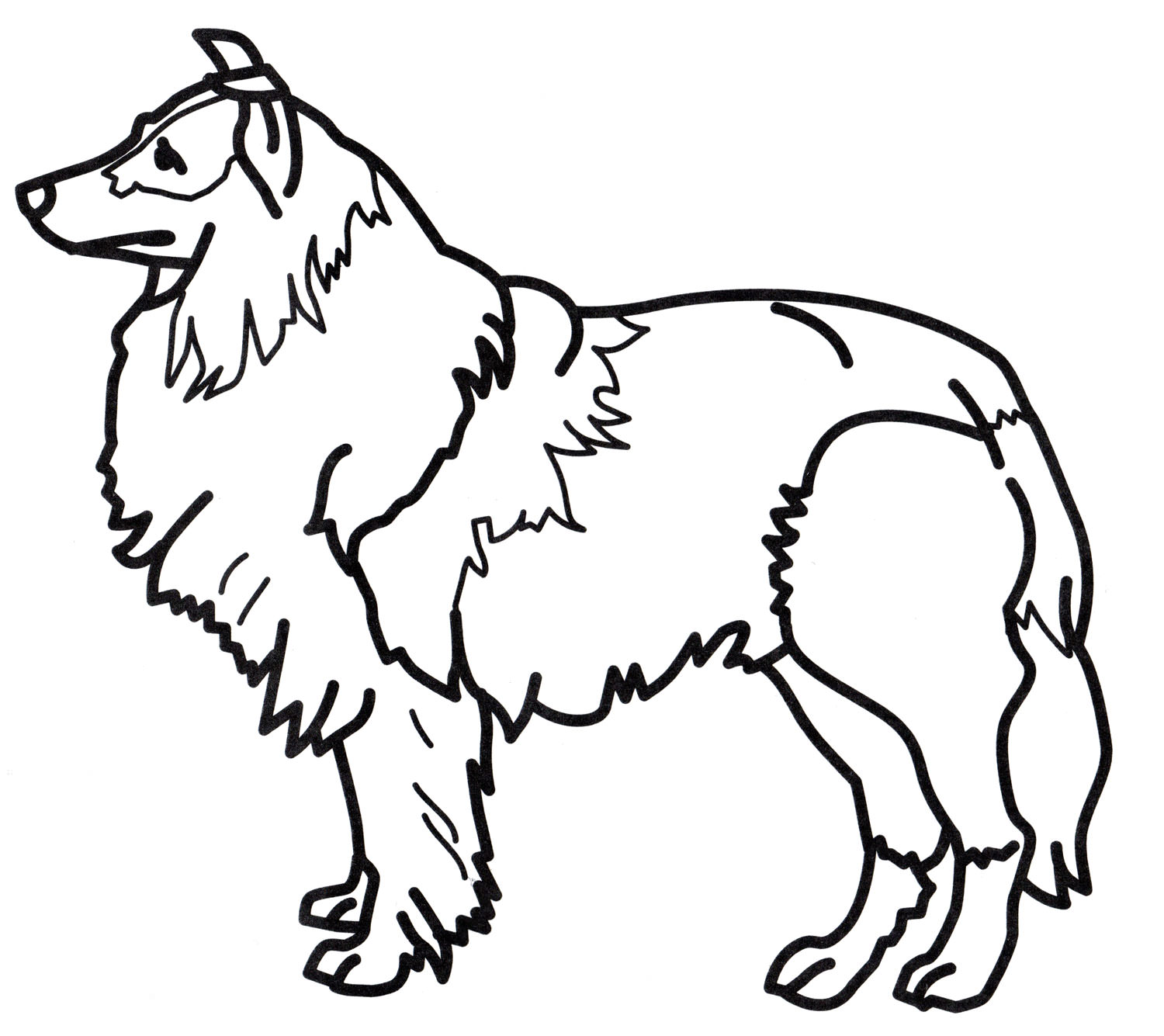 Розмальовка Пухнастий собака