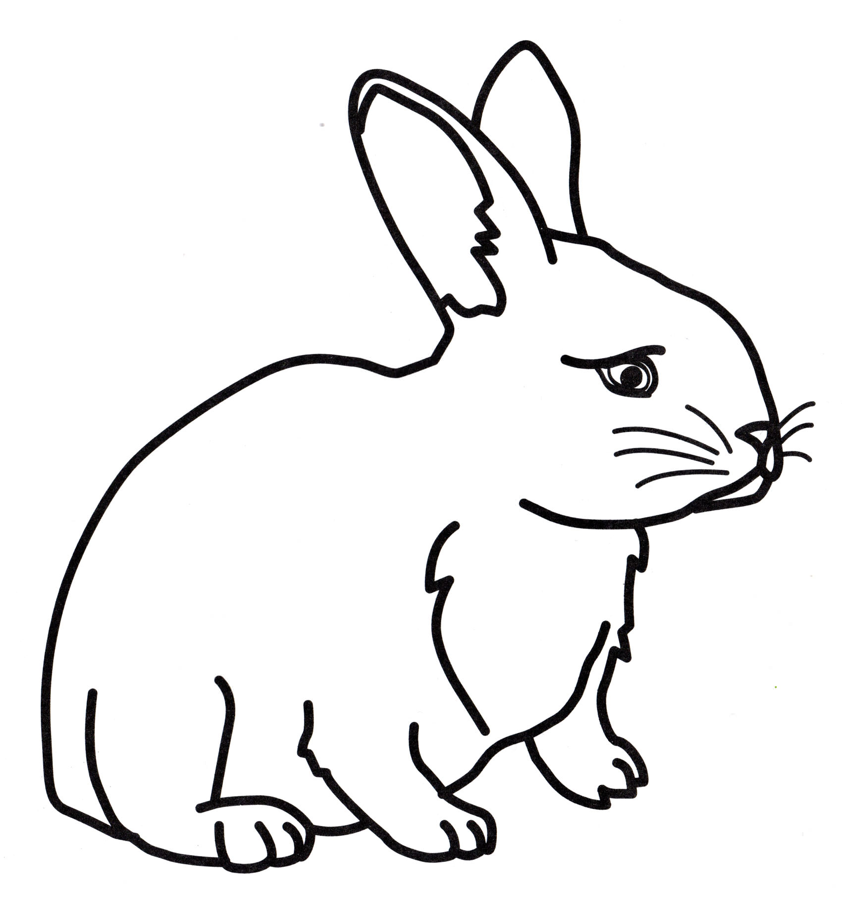 Розмальовка Пухнастий кролик