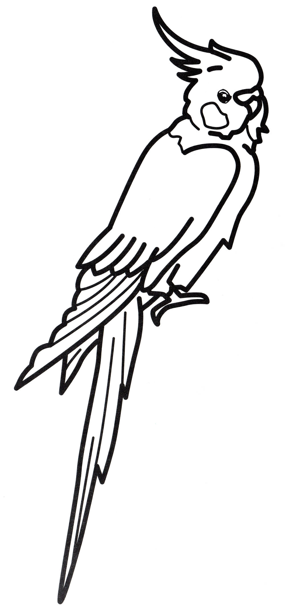 Розмальовка Папуга з чубчиком