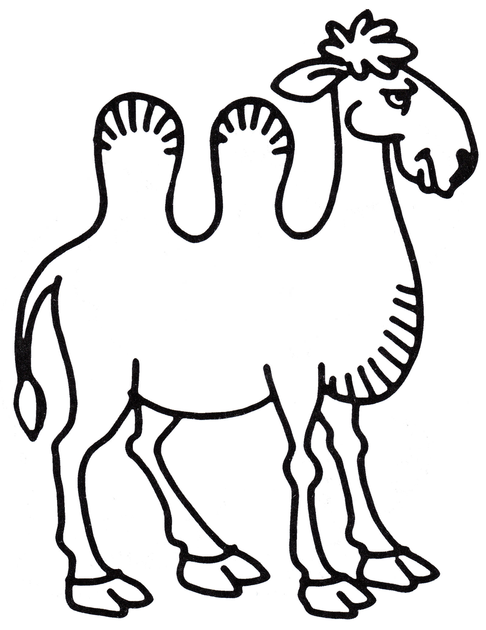Розмальовка Красивий верблюд