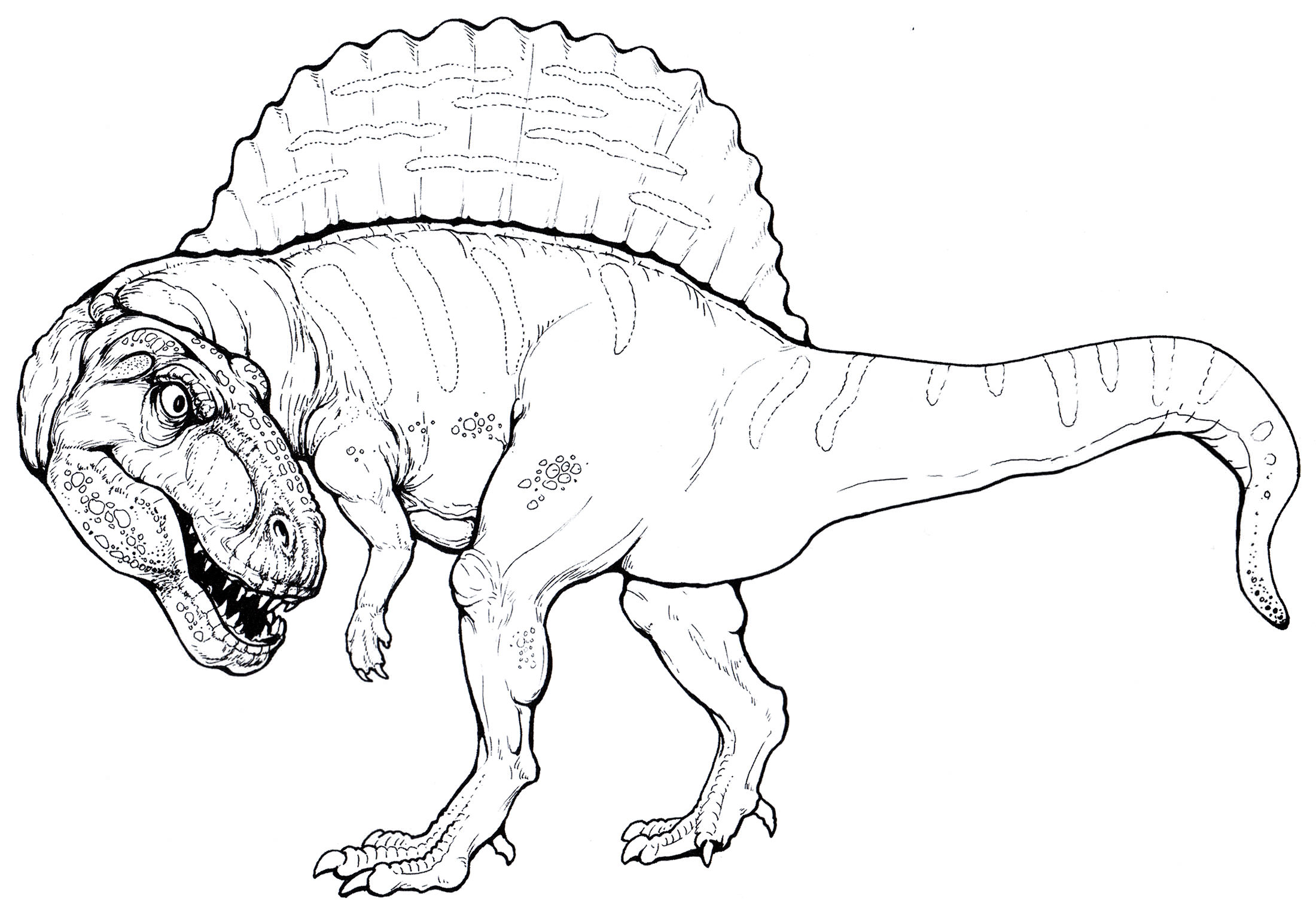 Розмальовка Спінозавр