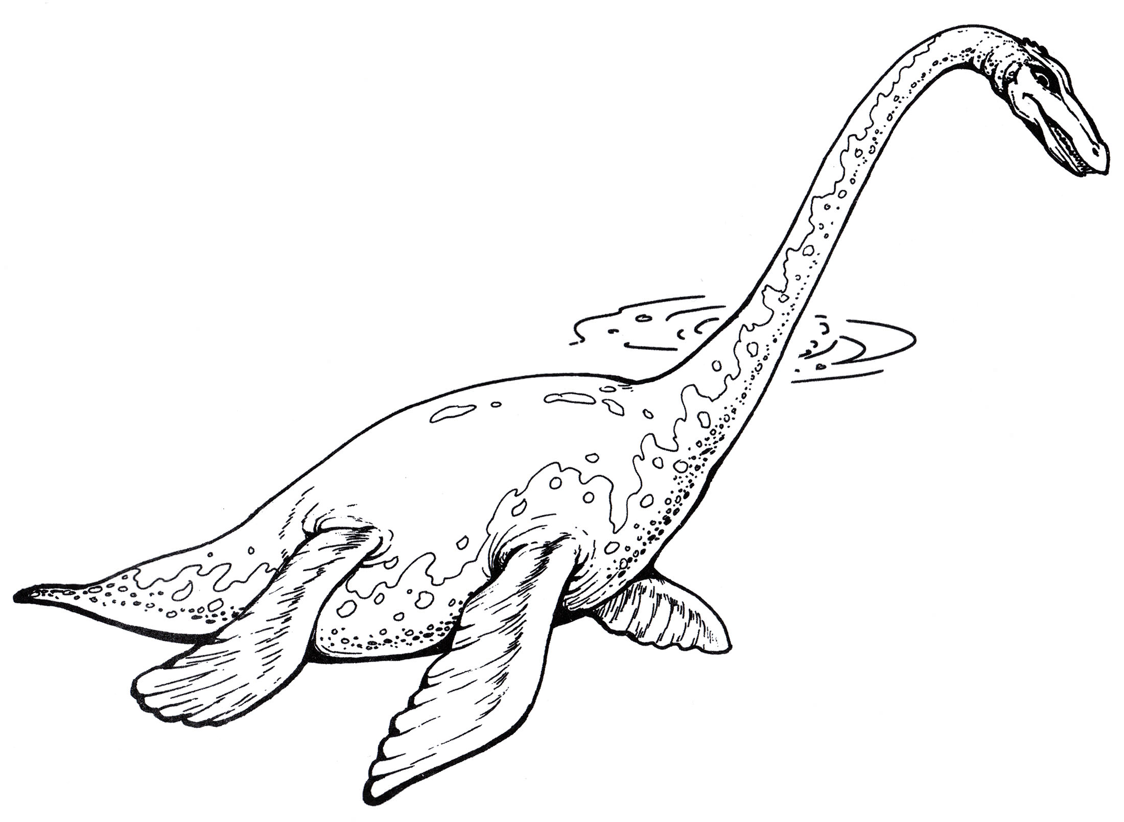 Розмальовка Плезіозавр