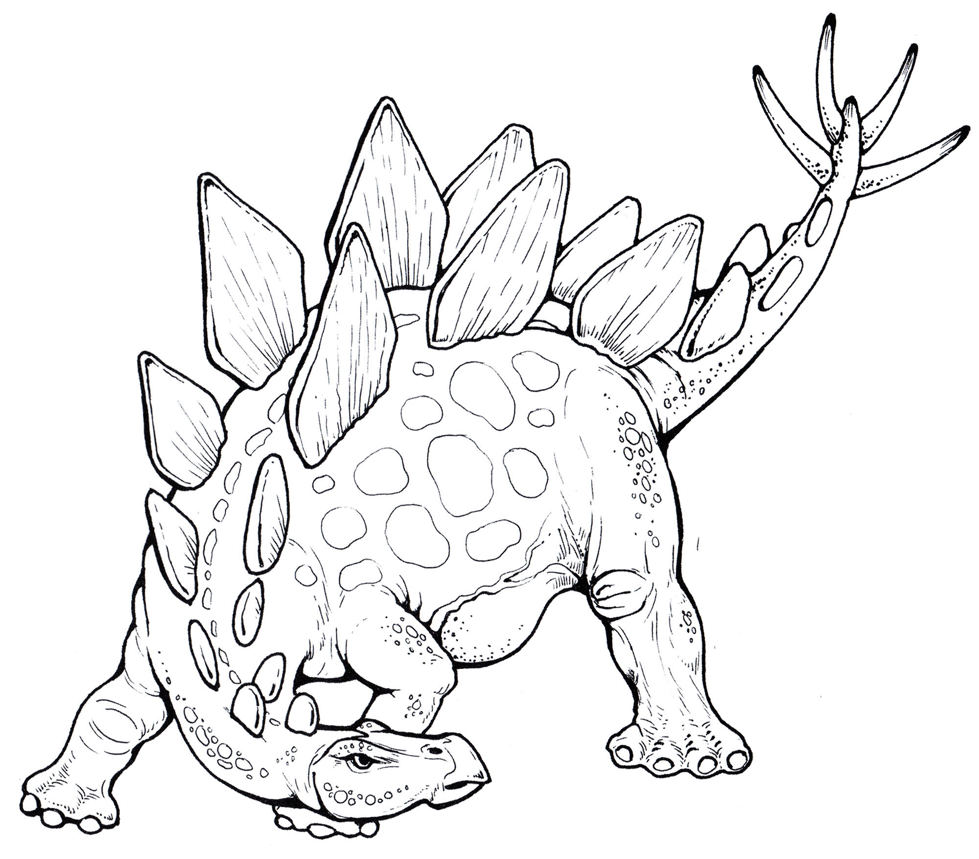 Розмальовка Стегозавр