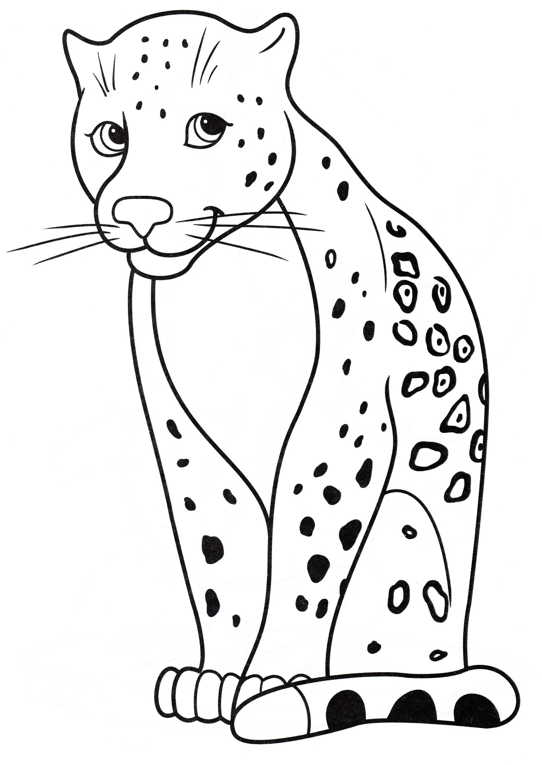 Розмальовка Леопард