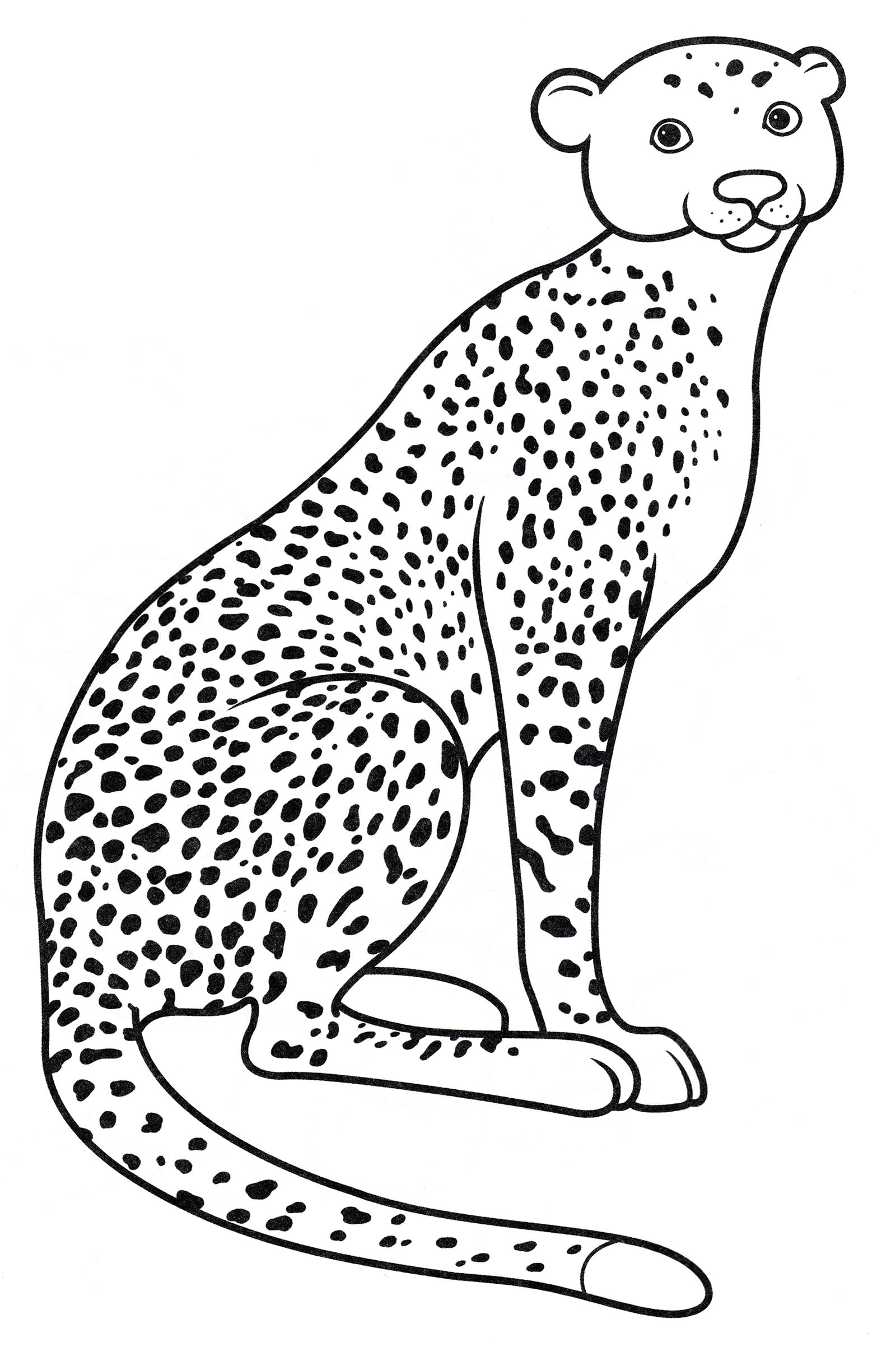 Розмальовка Швидкуватий гепард