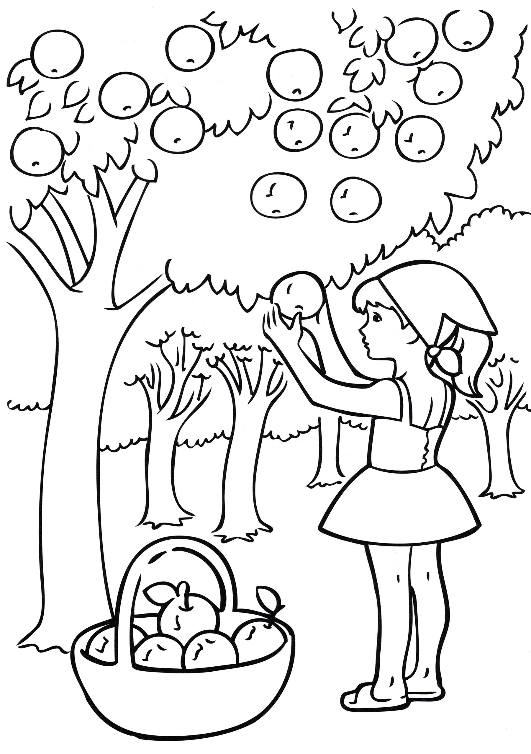 Розмальовка Дівчинка збирає яблука