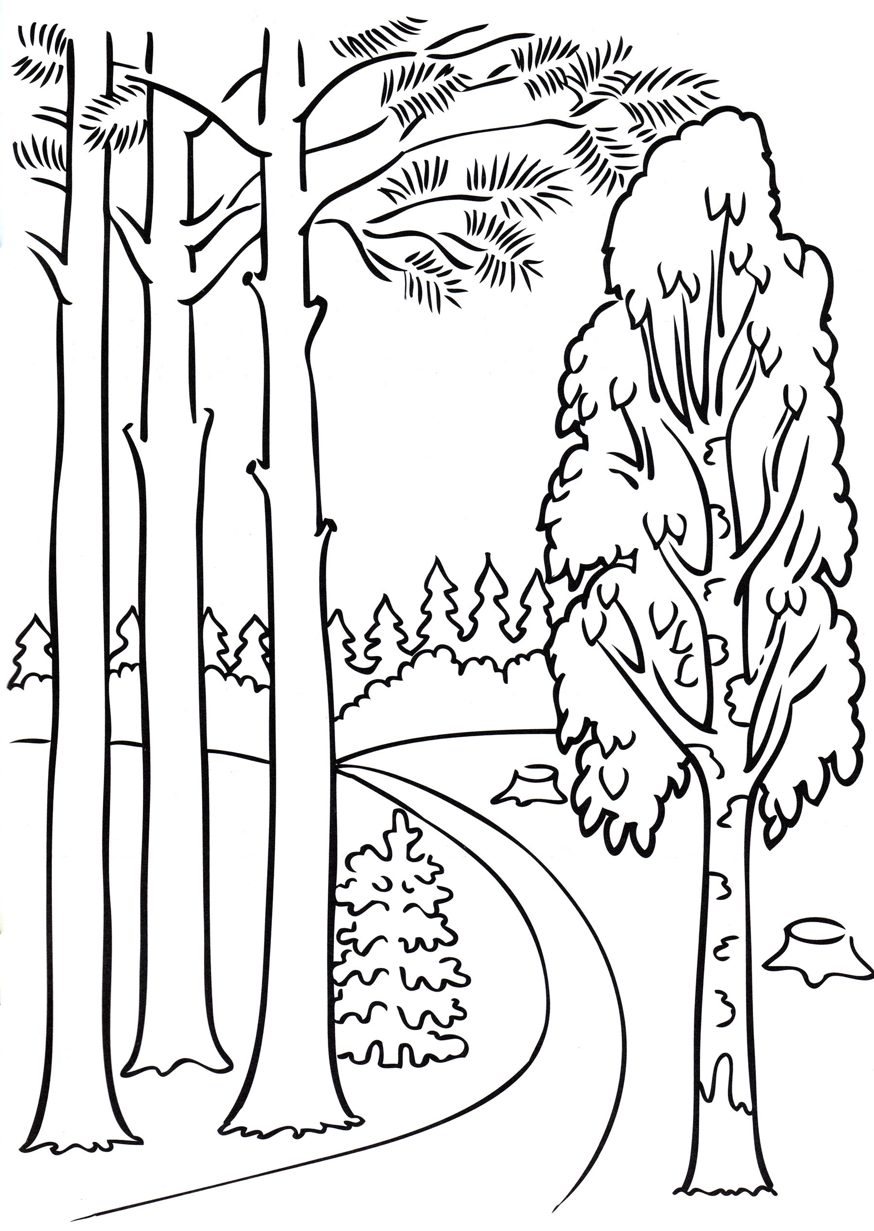 Розмальовка Лісова стежка