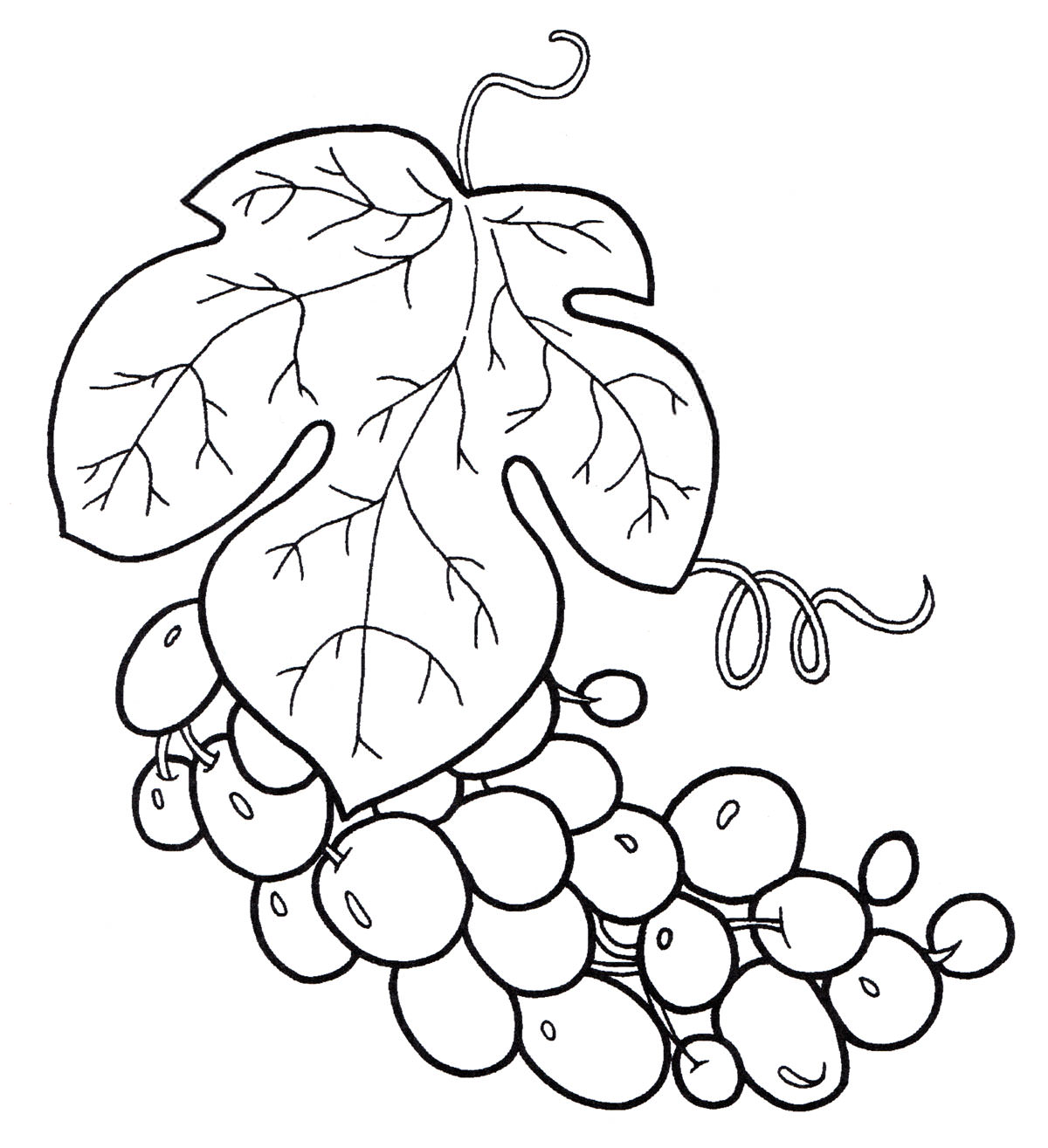 Розмальовка Гронь винограду
