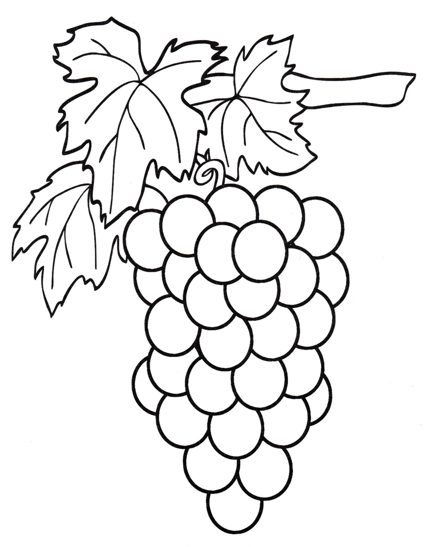 Розмальовка Гроденька винограду