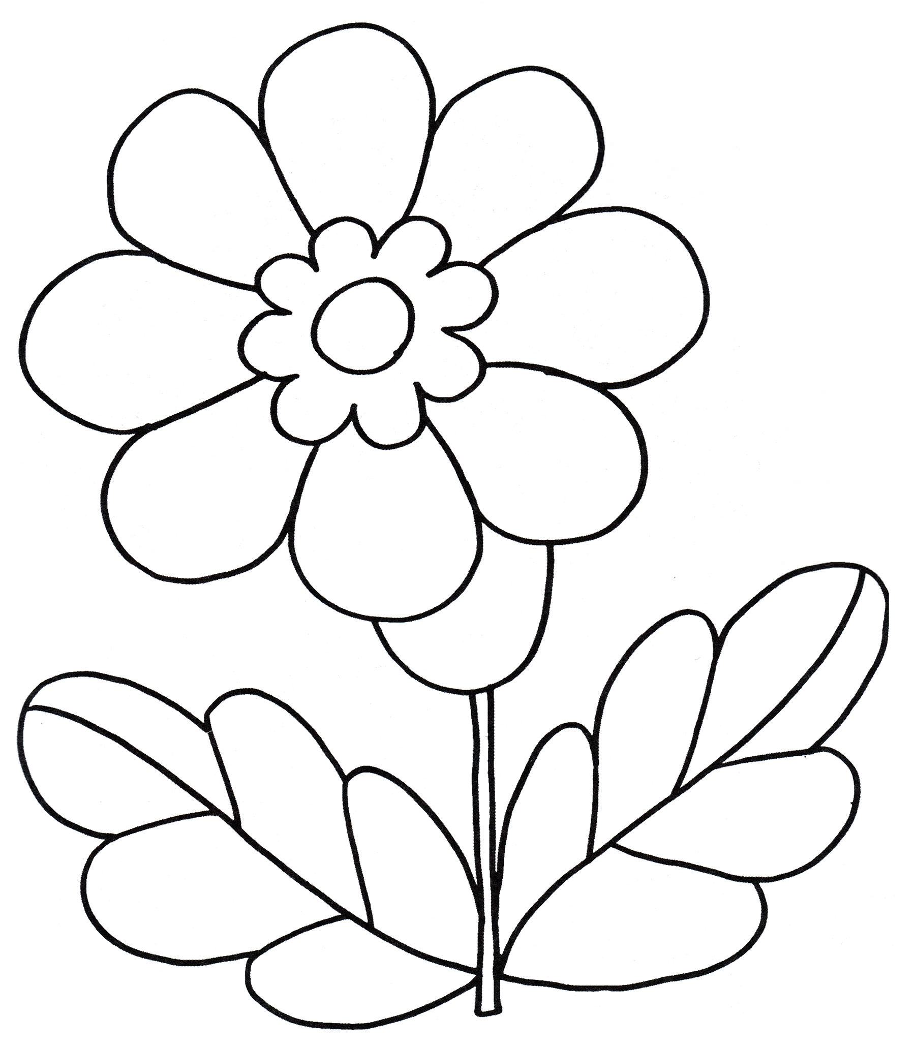 Розмальовка Квіточка в саду