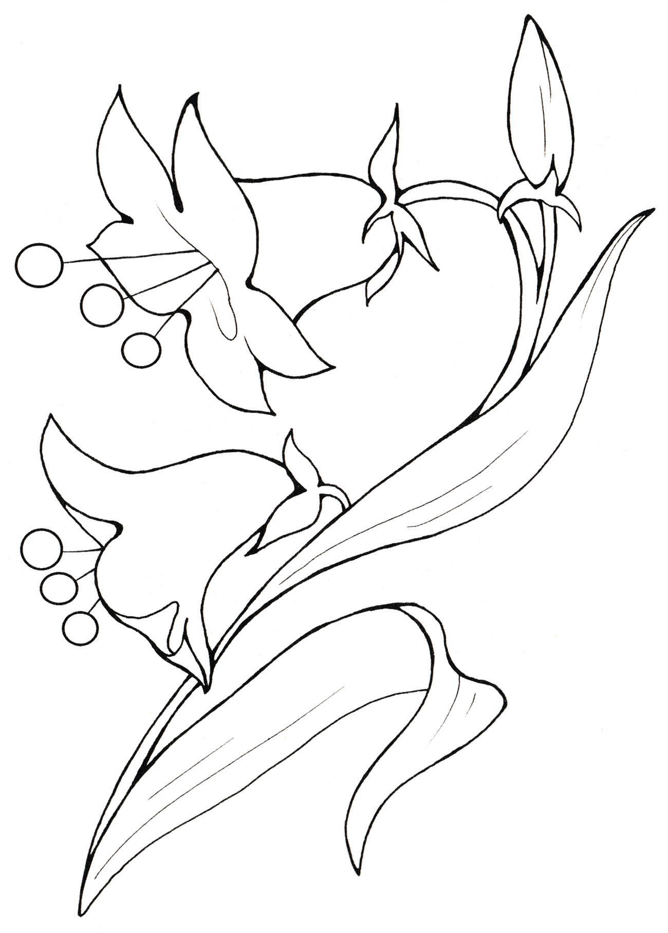Розмальовка Дзвіночок - квітка