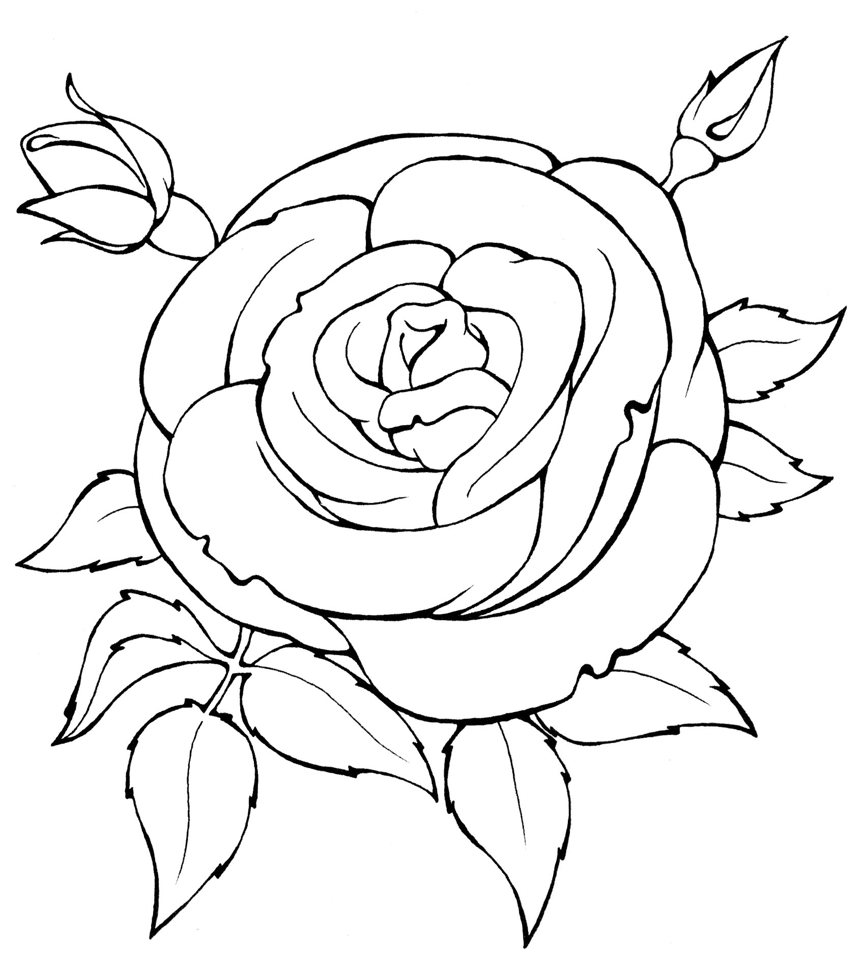 Розмальовка Троянда