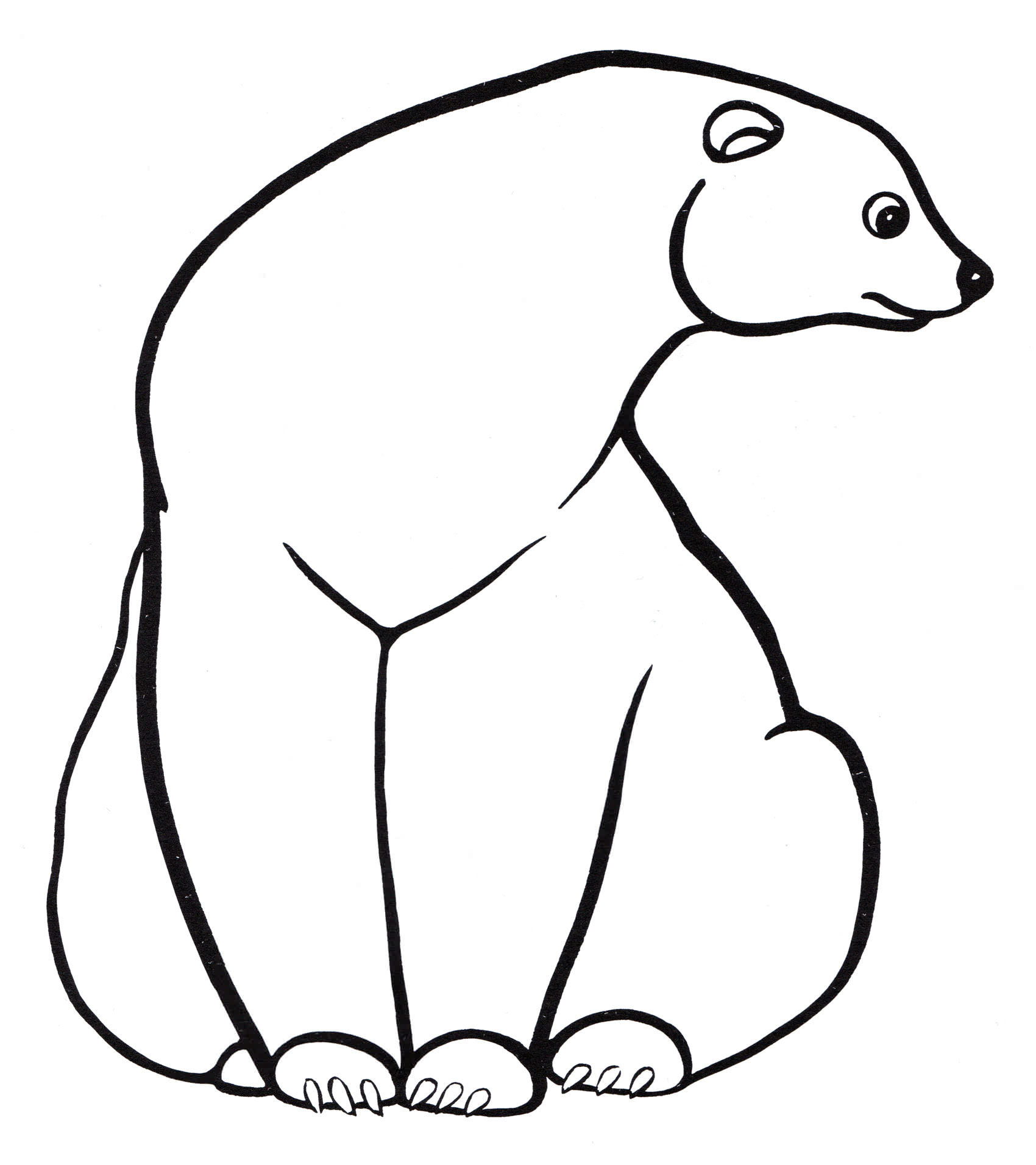 Розмальовка Білий ведмідь на відпочинку