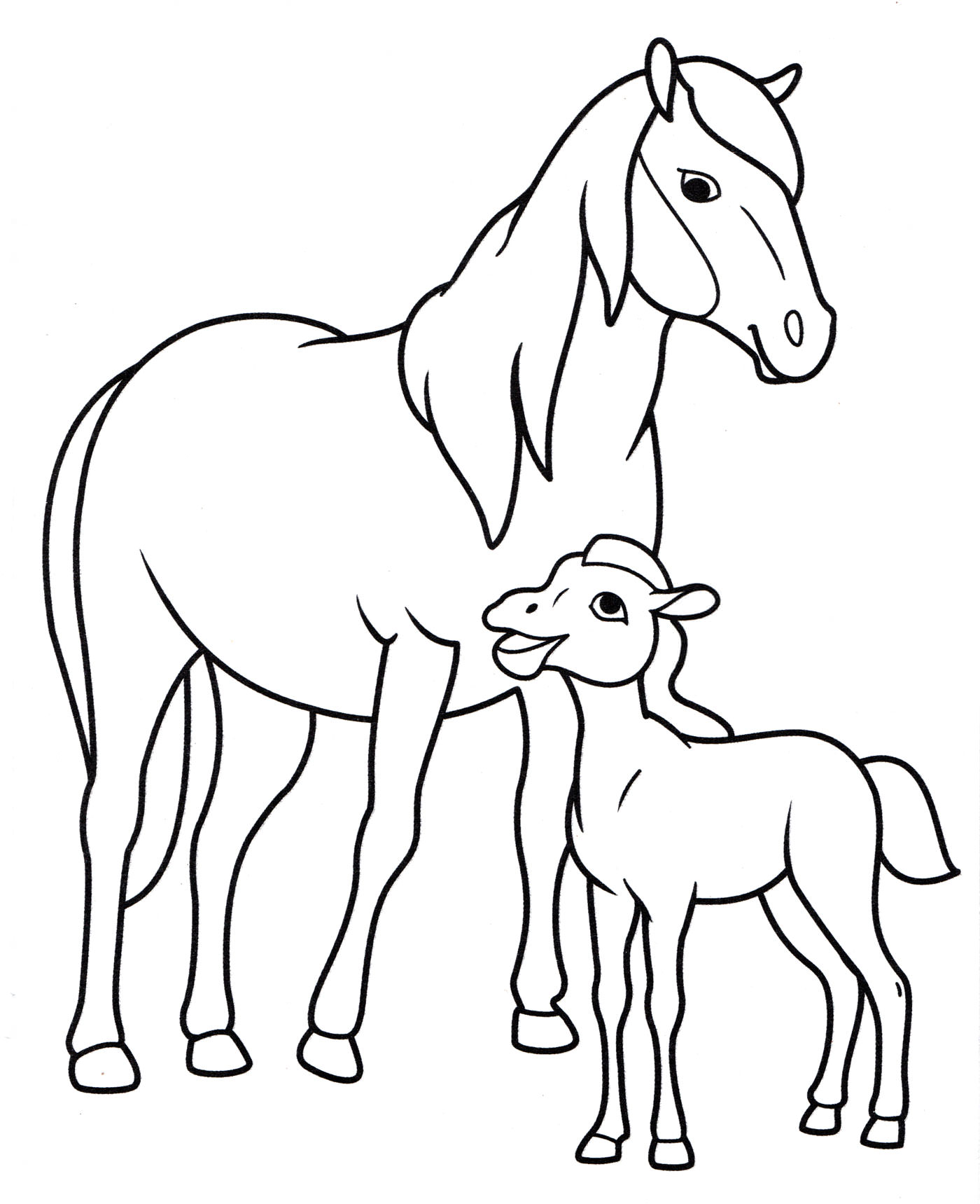 Розмальовка Кінь та лоша