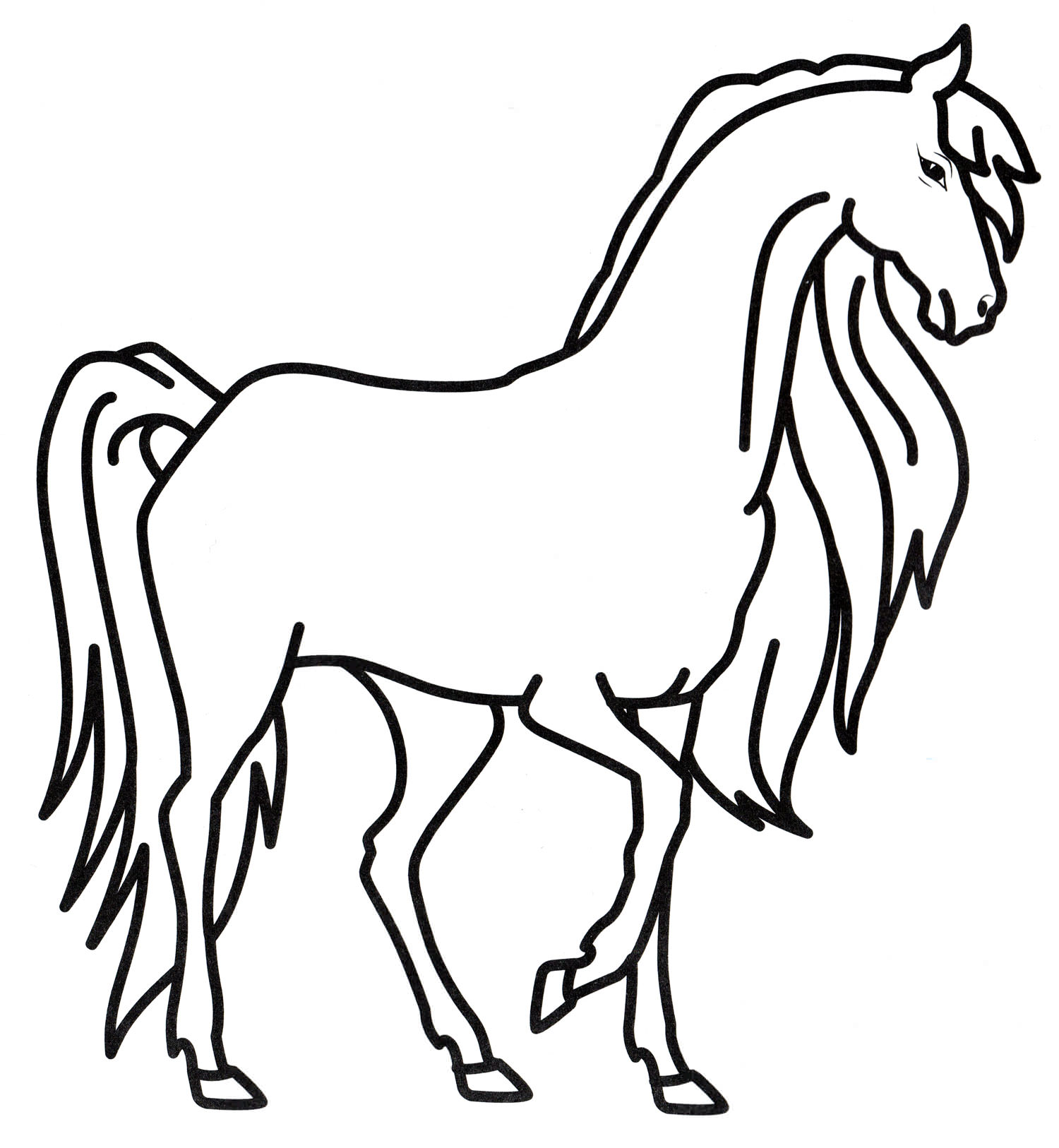 Розмальовка Кінь з гарною гривою