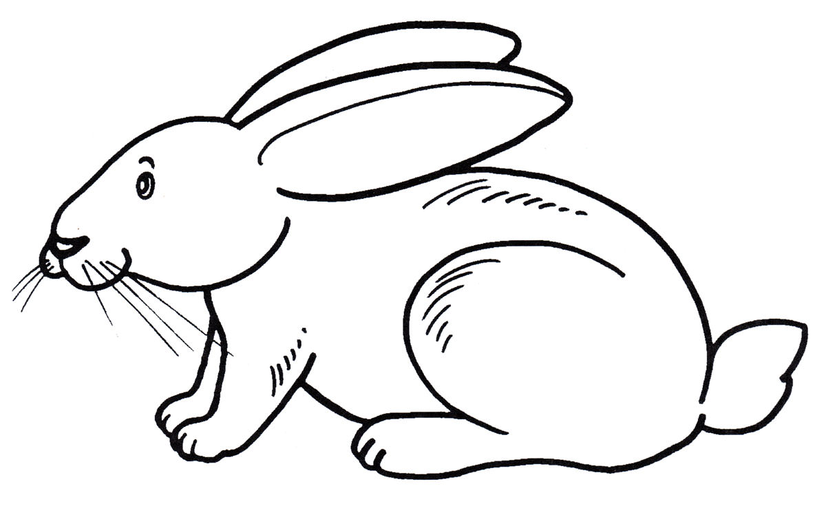 Розмальовка Кролик