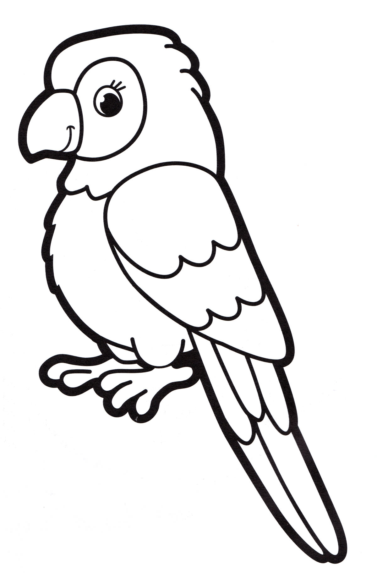 Розмальовка Милий папуга