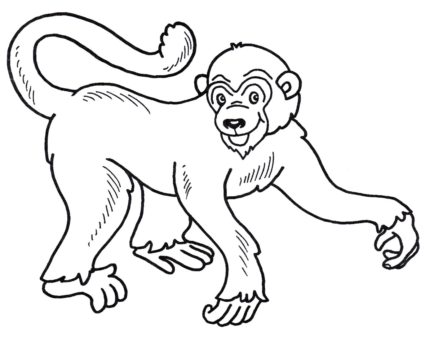 Розмальовка Задоволена мавпа