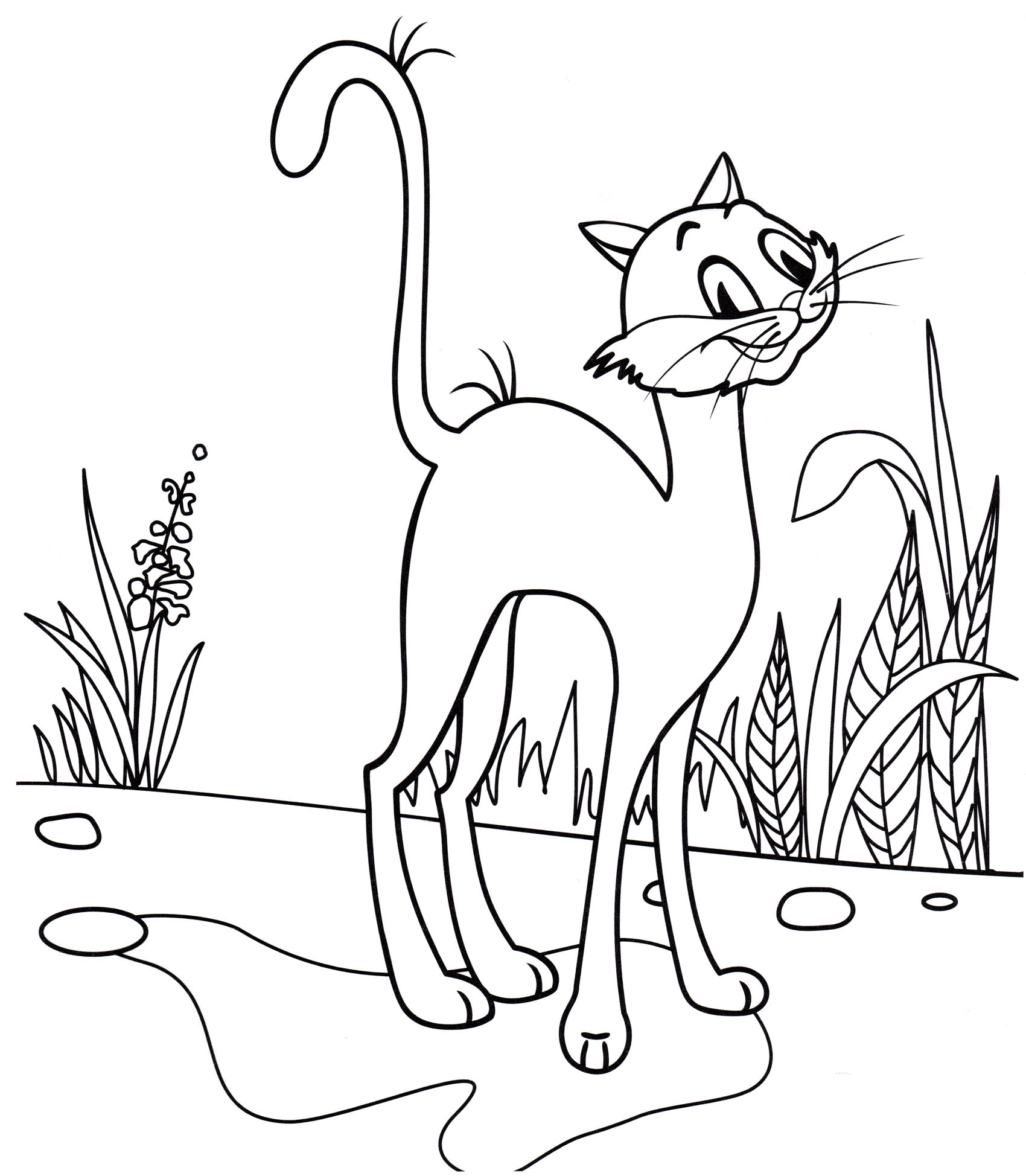 Розмальовка Кіт у дворі