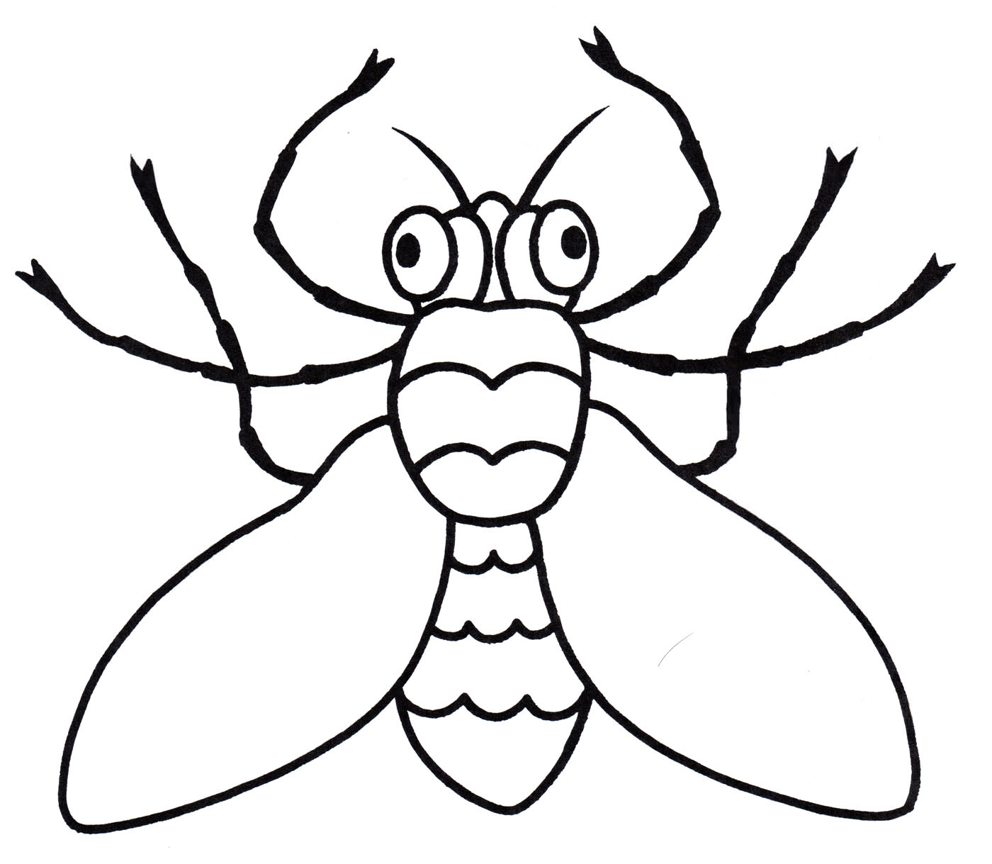 Розмальовка Очакова муха